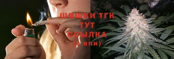 твердый Аркадак