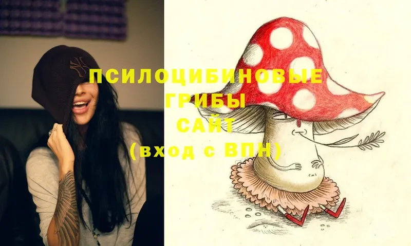 Галлюциногенные грибы Psilocybine cubensis  omg ТОР  Санкт-Петербург 