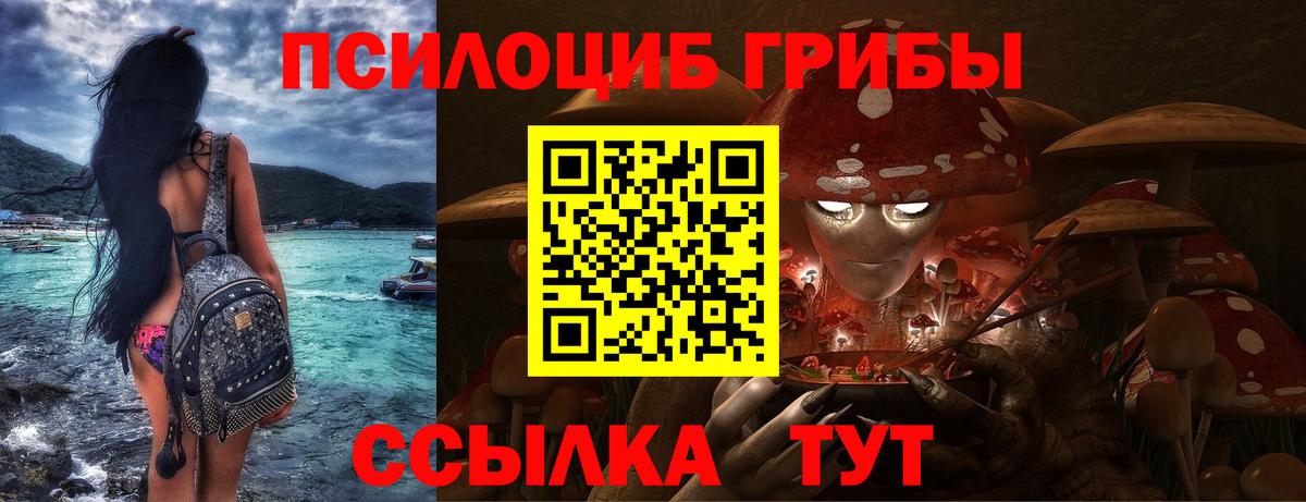 Галлюциногенные грибы Magic Shrooms Санкт-Петербург
