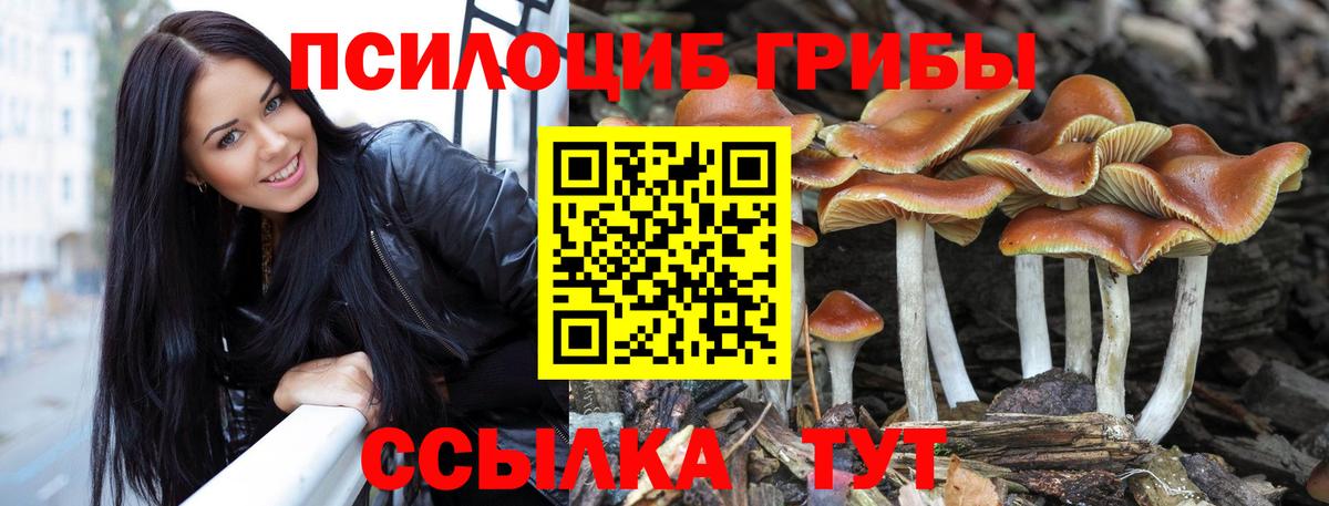 Санкт-Петербург  Меф кристаллы  Гашиш  Вход с VPN  Cocaine  Где продают наркотики?  Бошки Шишки 