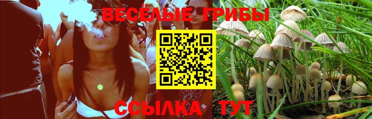 Санкт-Петербург  Псилоцибиновые грибы MAGIC MUSHROOMS  Галлюциногенные грибы прущие грибы  Вход с VPN 